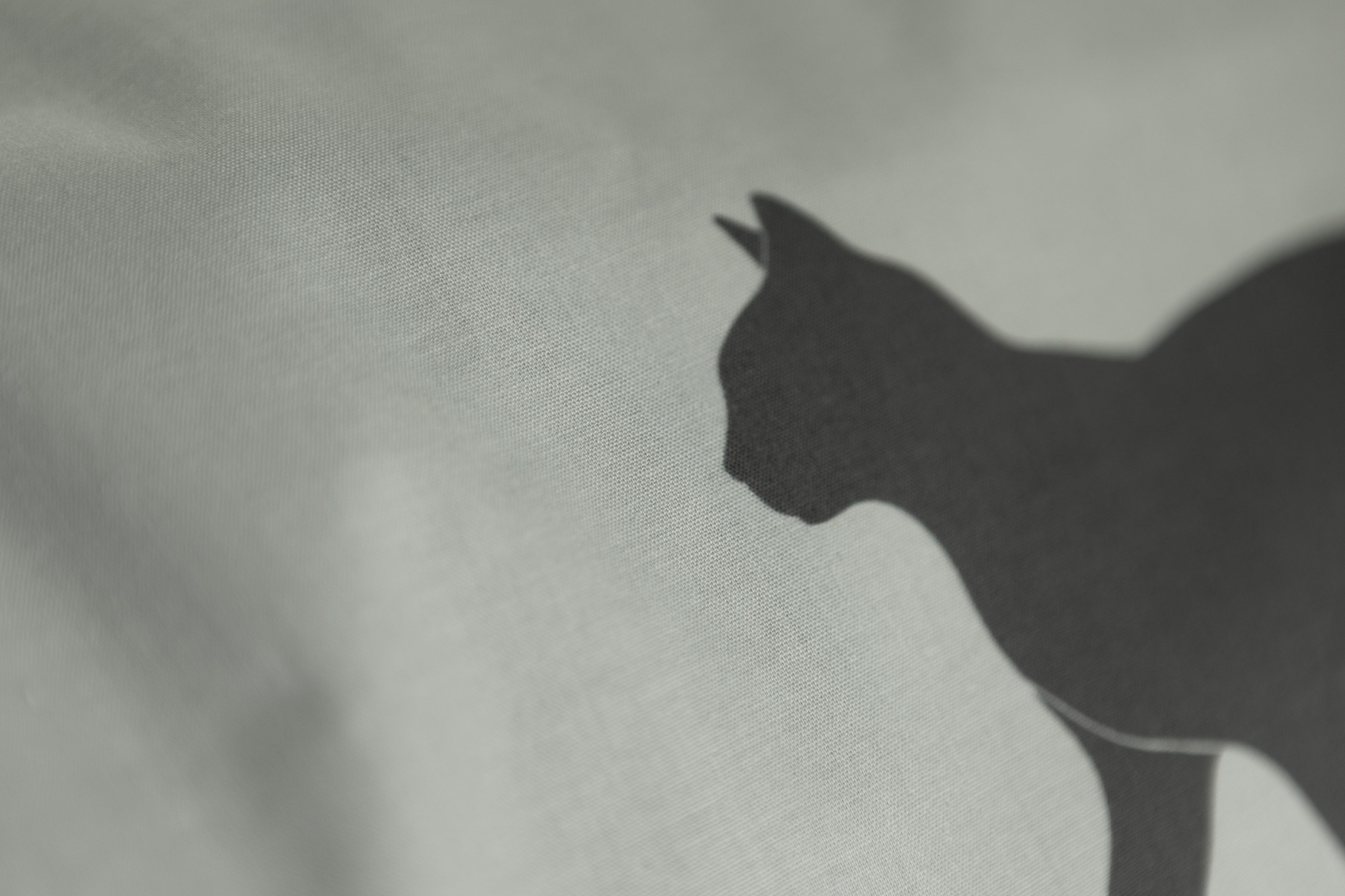 Trautesheim Bettwäsche-Set STUBENTIGER Katzen-Bettwäsche in 135 x 200 cm und 80 x 80 cm